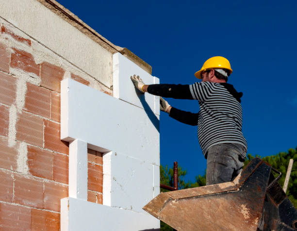 Best Geographic-Specific Insulation Services in Dorr, MI