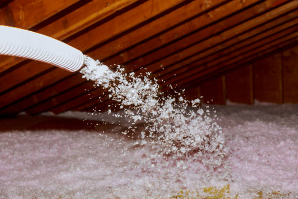  Dorr, MI Insulation Contractor Pros