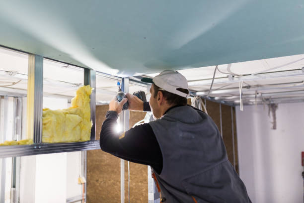 Best Blown-in Insulation in Dorr, MI