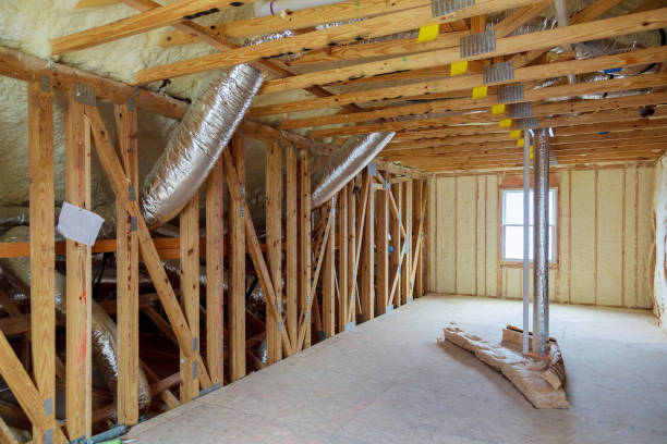 Best Eco-Friendly Insulation in Dorr, MI