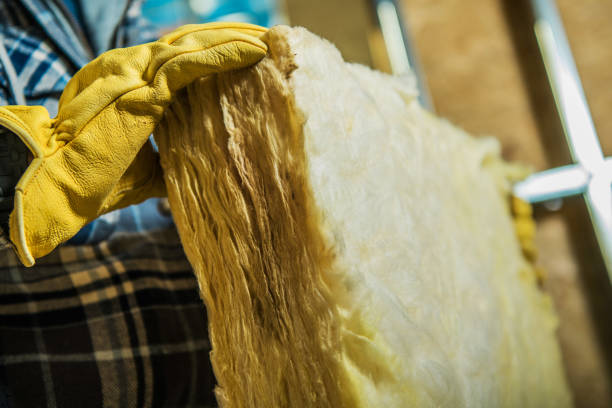 Best Geographic-Specific Insulation Services in Dorr, MI