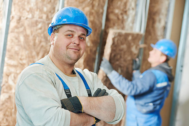 Best Insulation Maintenance and Repair in Dorr, MI