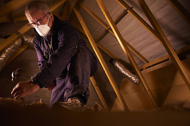 Types of Insulation We Offer in Dorr, MI