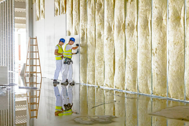 Best Cellulose Insulation in Dorr, MI
